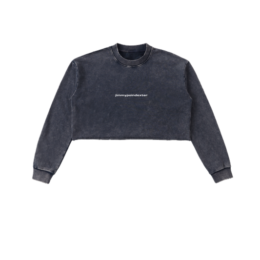 SNOW WASHED CROP TOP CREWNECK SWEATSHIRT