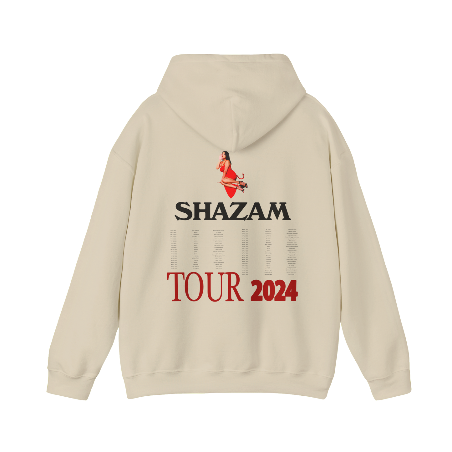 SHAZAM TOUR HOODIE
