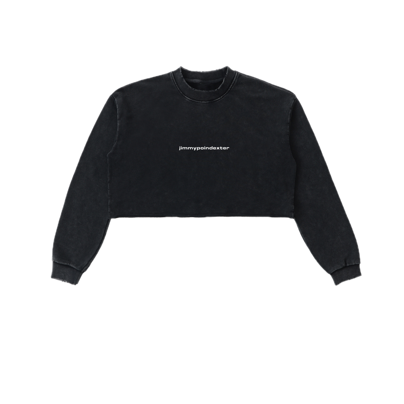 SNOW WASHED CROP TOP CREWNECK SWEATSHIRT