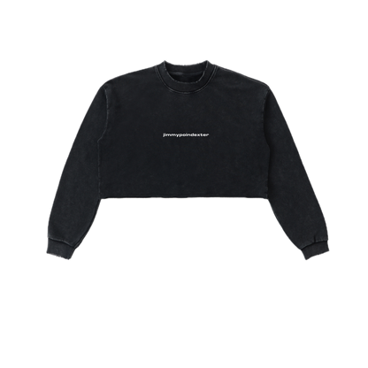 SNOW WASHED CROP TOP CREWNECK SWEATSHIRT