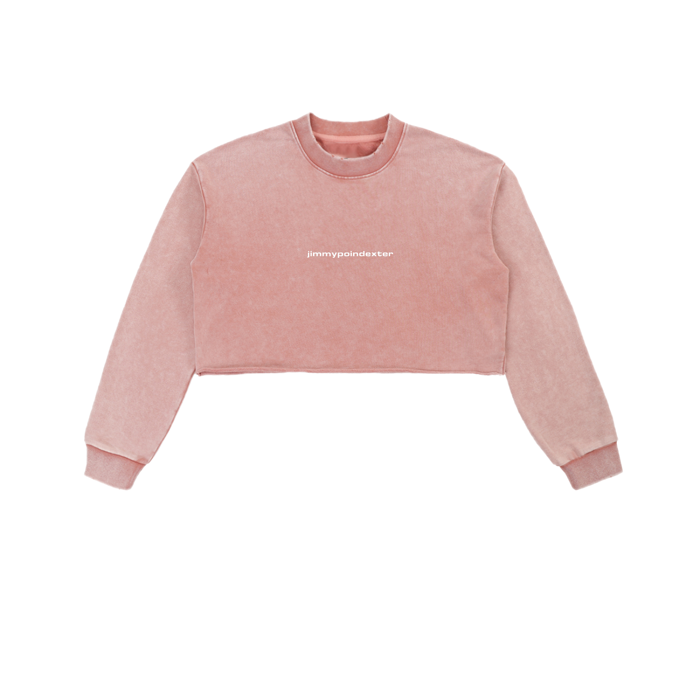 SNOW WASHED CROP TOP CREWNECK SWEATSHIRT