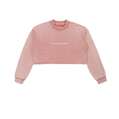 SNOW WASHED CROP TOP CREWNECK SWEATSHIRT