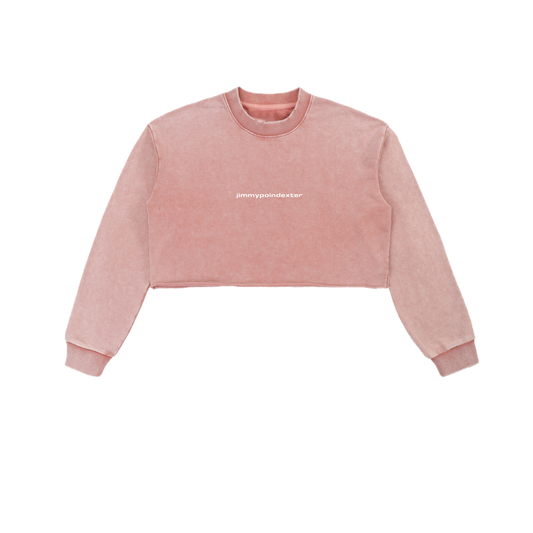 SNOW WASHED CROP TOP CREWNECK SWEATSHIRT