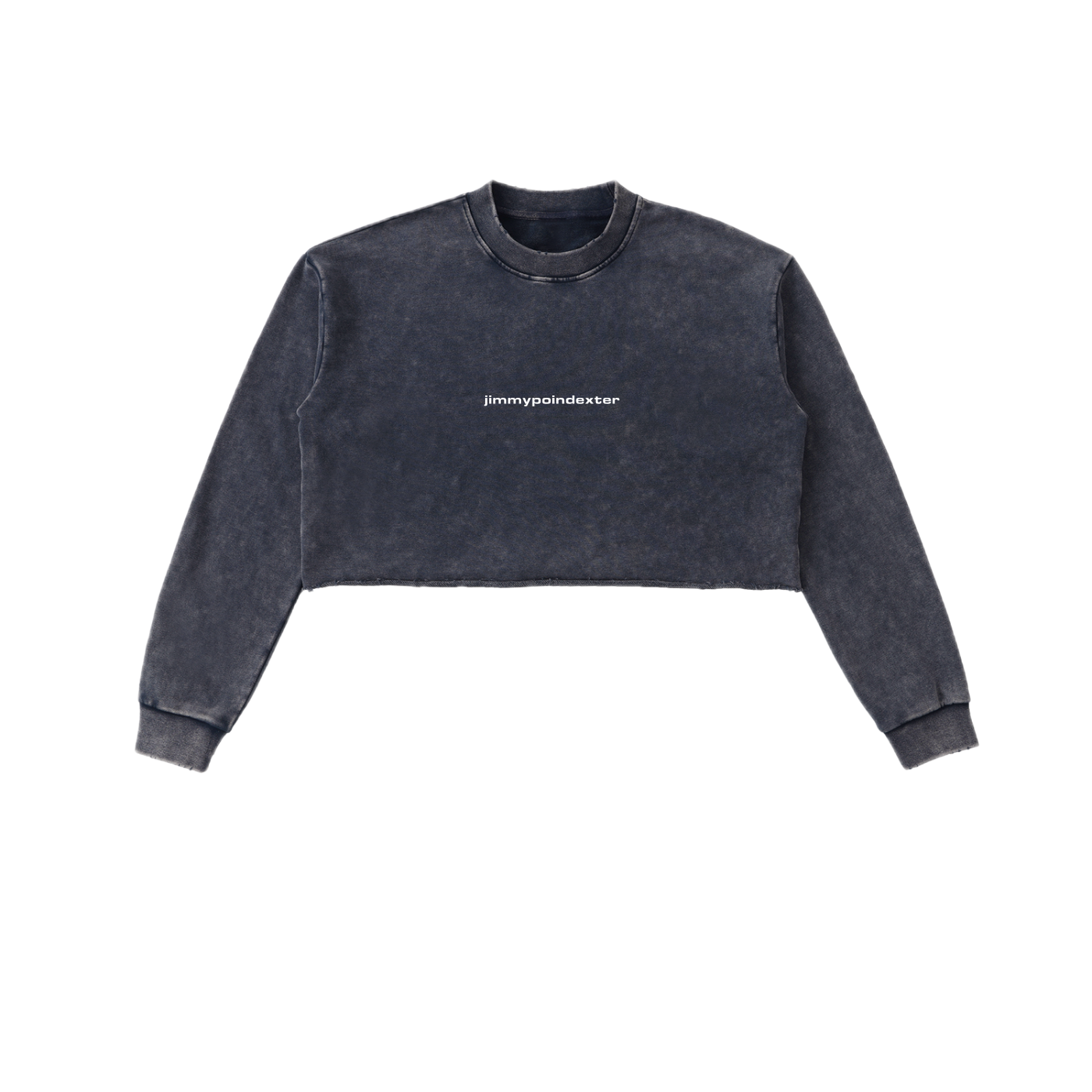 SNOW WASHED CROP TOP CREWNECK SWEATSHIRT