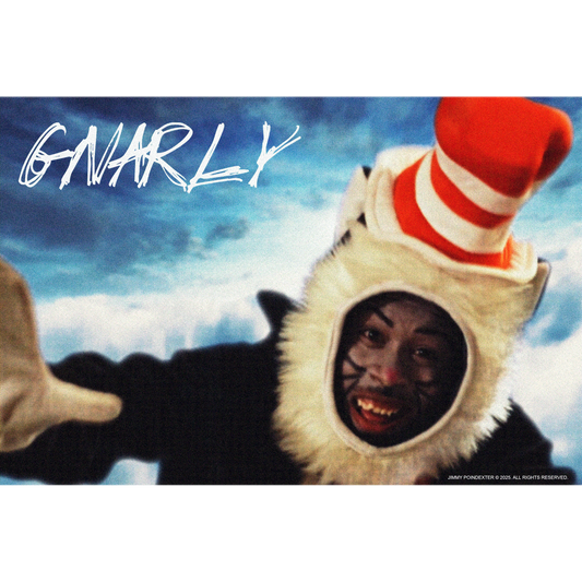 GNARLY CAT IN THE HAT POSTER